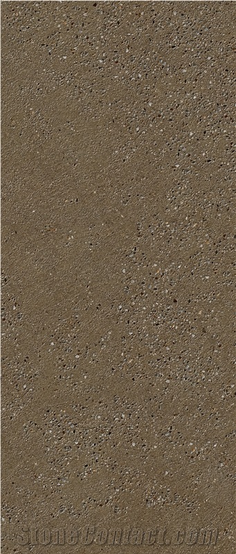Brown Tarazzo Texture Sintered Stone 1S06ZD120278-1002Z