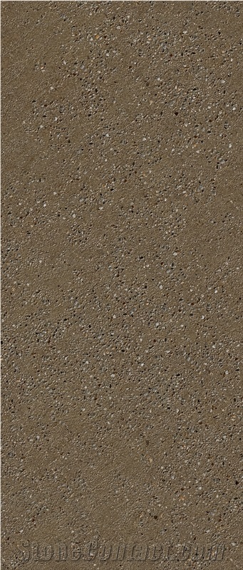 Brown Tarazzo Texture Sintered Stone 1S06ZD120278-1002Z