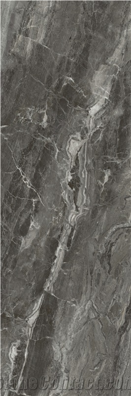 Carboniferous Mable Look Sintered Slab 1S09QD080240-5041P