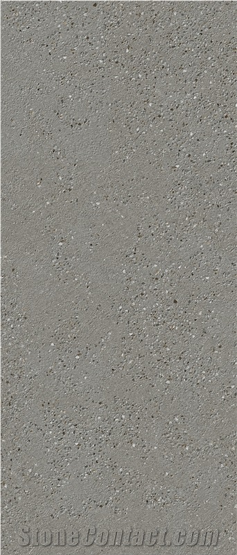 Grey Tarazzo Texture Sintered Slab 1S06ZD120278-1003Z 