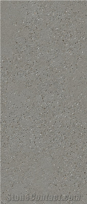 Grey Tarazzo Texture Sintered Slab 1S06ZD120278-1003Z 