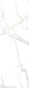 Luxury Stone Italy Bianco Carrara White 1S03CD120300-1901X