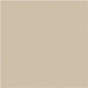 Modern Morandi Beige Sintered Slab 1S06QD120260-1313S