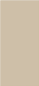 Modern Morandi Beige Sintered Slab 1S06QD120260-1313S