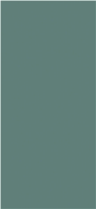 Modern Morandi Green Sintered Slab 1S06QD120260-1311S