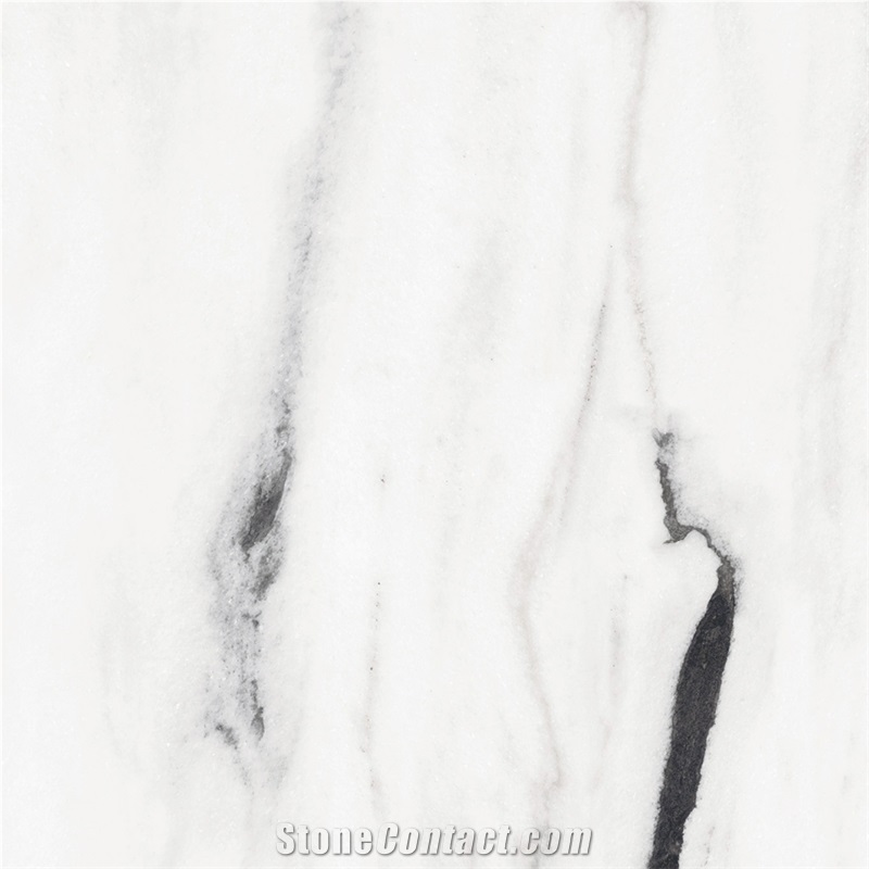 Panda White Polished Sintered Stone 1S09QD080240-5039P