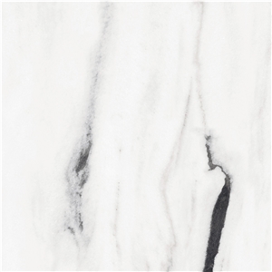 Panda White Polished Sintered Stone 1S09QD080240-5039P