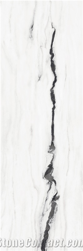 Panda White Polished Sintered Stone 1S09QD080240-5039P