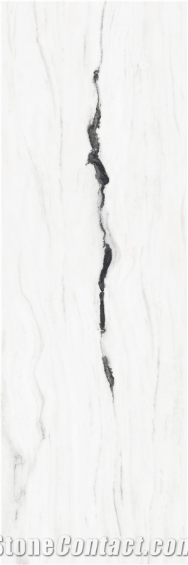 Panda White Polished Sintered Stone 1S09QD080240-5039P