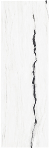 Panda White Polished Sintered Stone 1S09QD080240-5039P