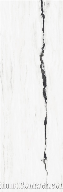 Panda White Polished Sintered Stone 1S09QD080240-5039P