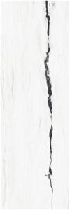 Panda White Polished Sintered Stone 1S09QD080240-5039P