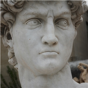 David Bust In White Marble