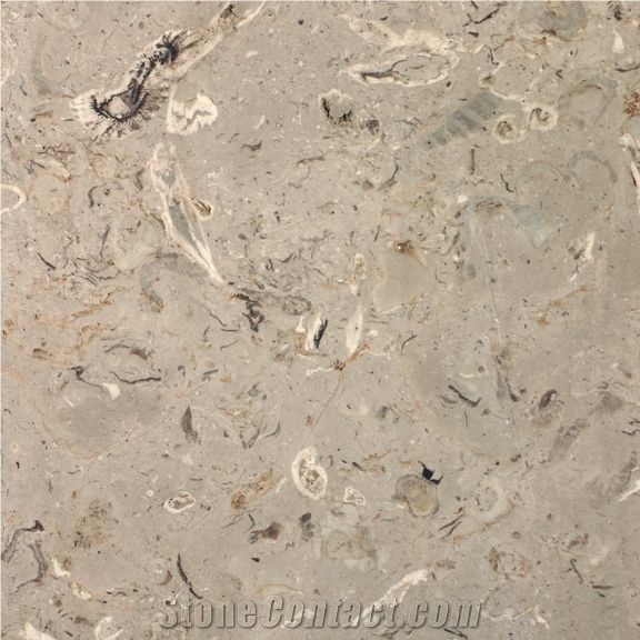 Aurisina Fiorita Marble Tiles & Slabs
