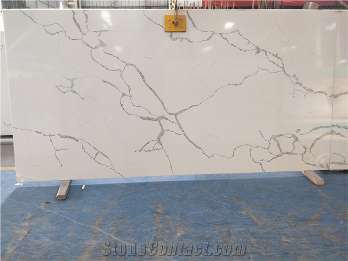 Calacatta belleza quartz slab