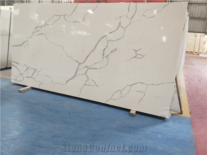 Calacatta belleza quartz slab
