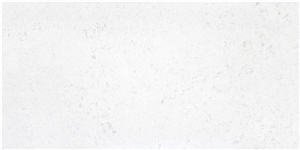 Organic white quartz master slab