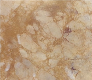 Golden Autumn Marble Tiles & Slabs