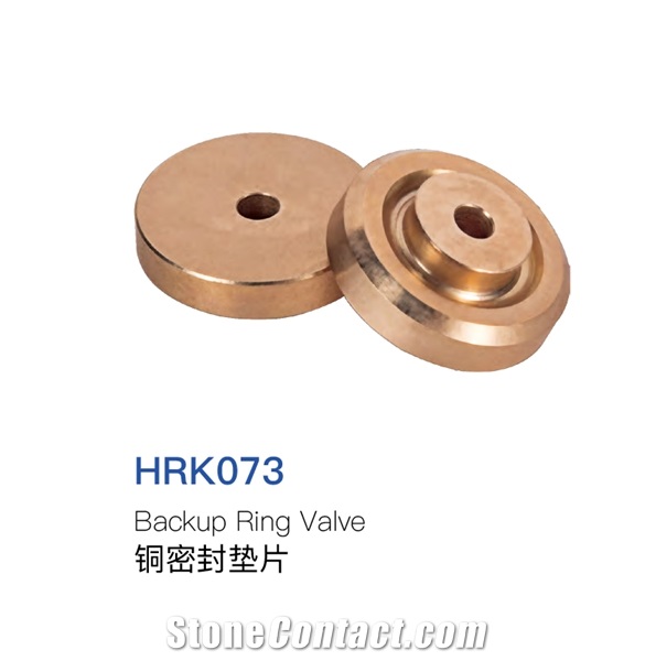 Backup Ring Valve