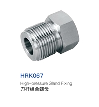 High-Pressure Gland Fixing