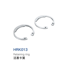 Retaining Ring Retaining Ring