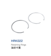 Retaining Ring