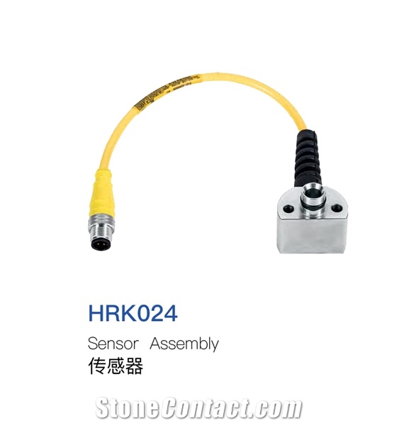 Sensor Assembly