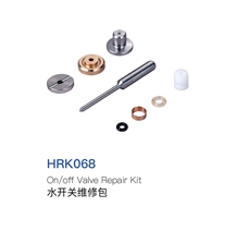 Valve Repair Kit
