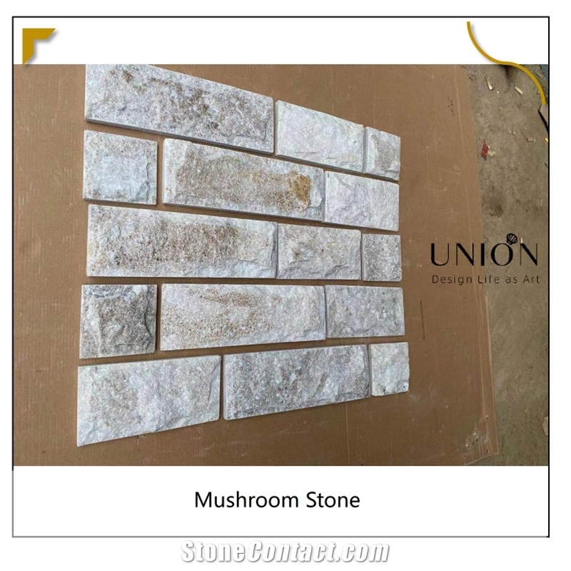 Golden Line Quartzite Wall Cladding Stacked Stone Ledge