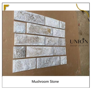Golden Line Quartzite Wall Cladding Stacked Stone Ledge