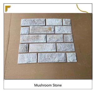 Golden Line Quartzite Wall Cladding Stacked Stone Ledge
