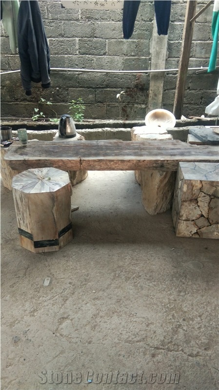 Petrified Wood Stone Sinks, Basins