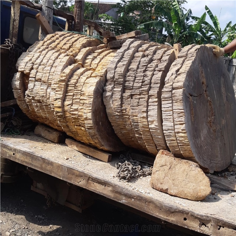 Petrified Wood Stone Sinks, Basins