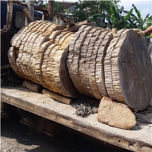 Petrified Wood Stone Sinks, Basins