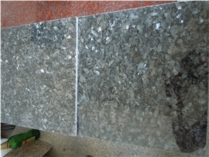  Black  Root Tiles Floor Ceramic Tiles And Marbles Tile