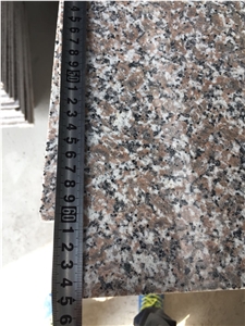China  G664 Red Granite Tiles/Slabs