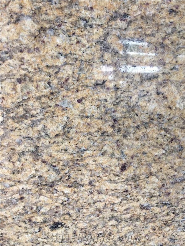 Giallo Venezian Purple Spot Building Ornament Tile,Wall Ston
