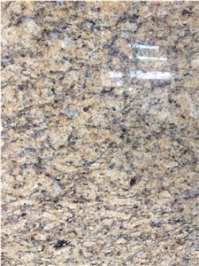 Giallo Venezian Purple Spot Building Ornament Tile,Wall Ston