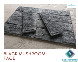 Hot Promotion - Black Mushroom Face Wall Panel 