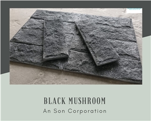 Hot Sale - Black Mushroom Face Wall Panel From Vietnam 