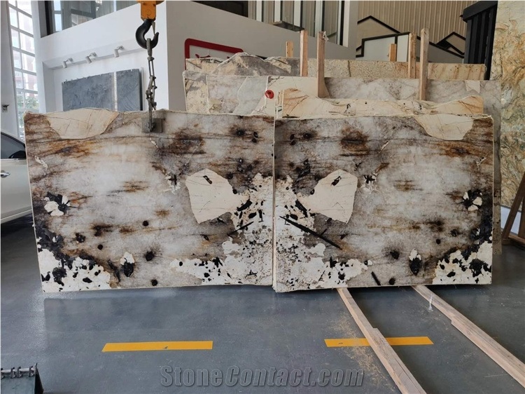 Pandora Polished Bookmatch Marble Slab