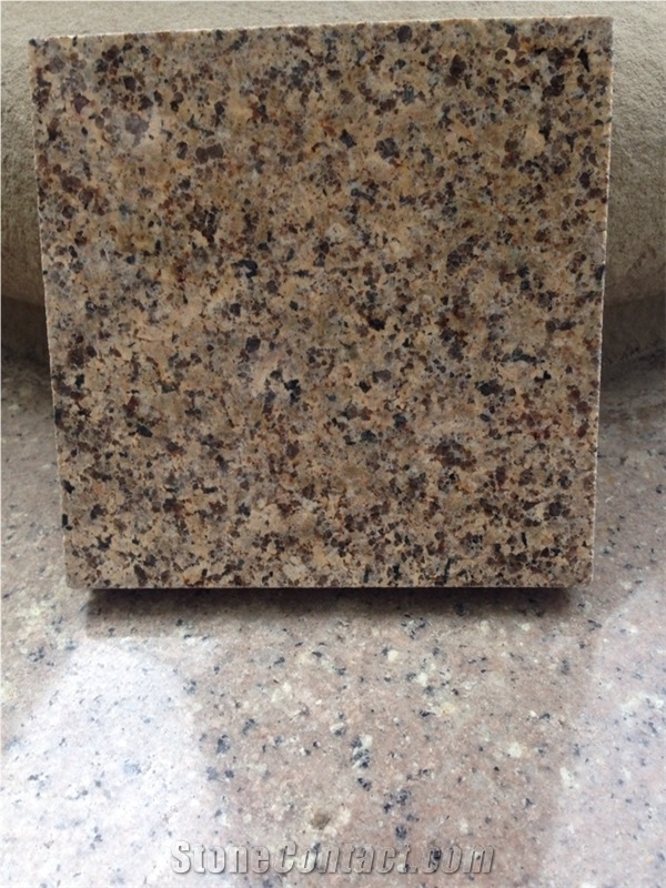 Indian Golden Leaf Granite Polished Exotic Wall Cladding 