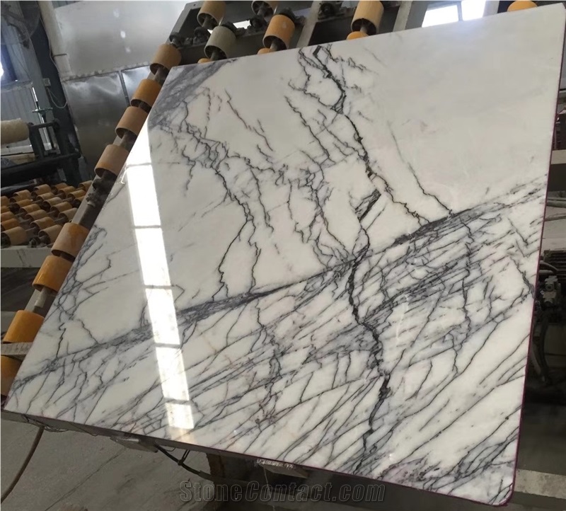 Turkey Calacatta Viola White Marble Slab