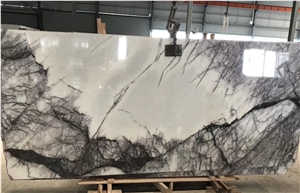 Turkey New York Dark Purple Marble Slab