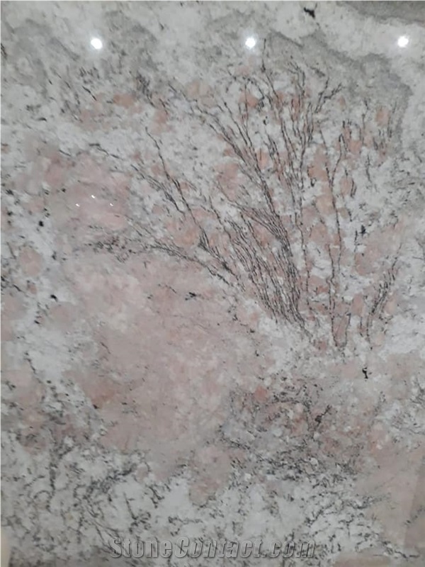 Silver Marble Slabs, Silver Fantastic Marble