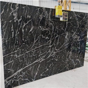 Spider Forest Black Granite Slabs