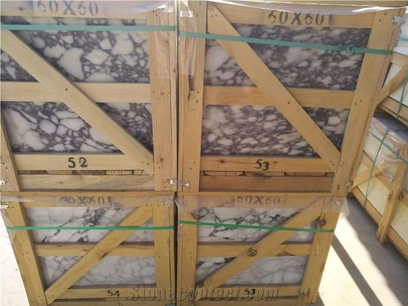 Calacatta Viola Marble Tiles & Slabs