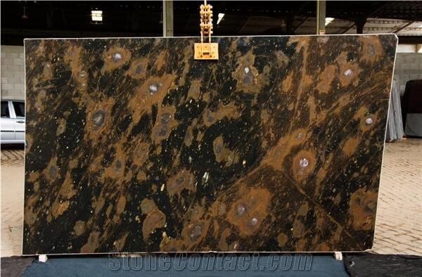Andromeda Quartzite Tiles & Slabs, Black Polished Quartzite 