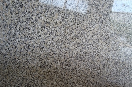 China Giallo Fiorito Granite Slabs,China Yellow Granite