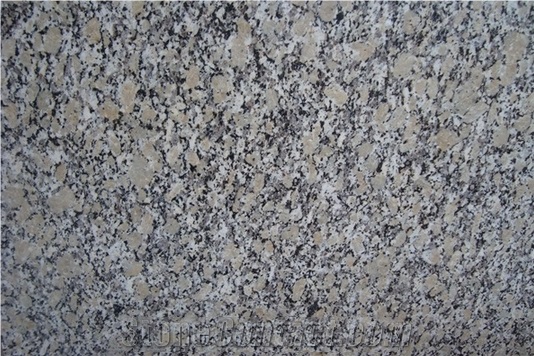 China Giallo Fiorito Granite Slabs,China Yellow Granite